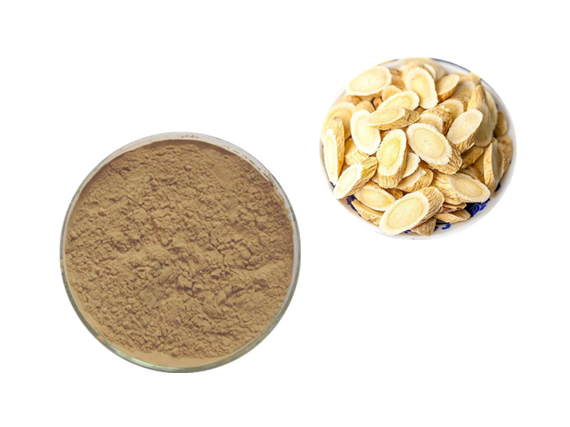 Astragalus Extract: The Polysaccharide Matrix for Deep Immunological Fortification