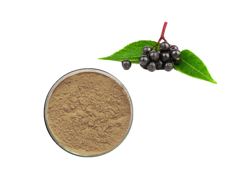 Elderberry Extract: The Anthocyanin Shield for Viral Defense and Immunological Resilience