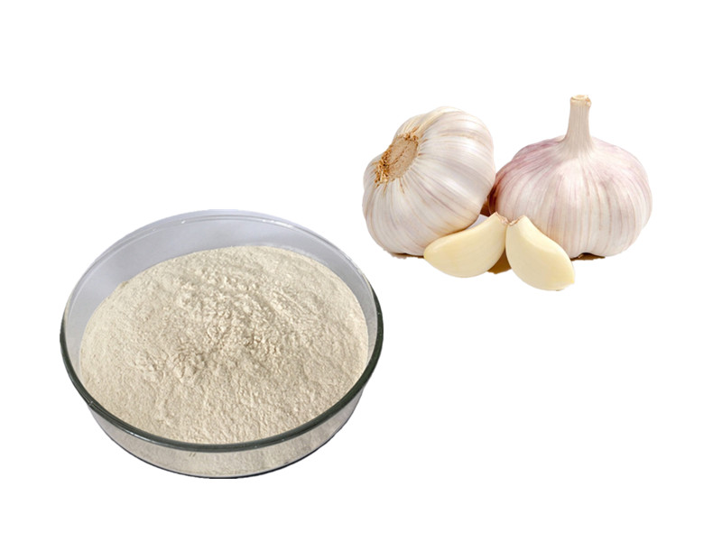 Garlic Extract: The Organosulfur Catalyst for Pathogen Neutralization and Systemic Defense