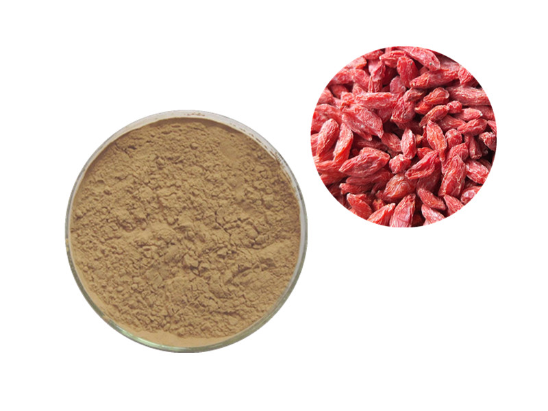 Goji Berry Extract: The Glycoconjugate Matrix for Ocular Protection and Immune Surveillance