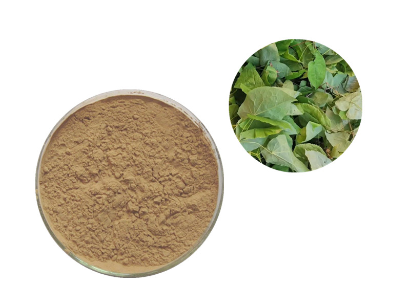 Epimedium Extract: The Flavonoid Catalyst for Vasodilation, Neuro-Endocrine Balance, and Male Potenc