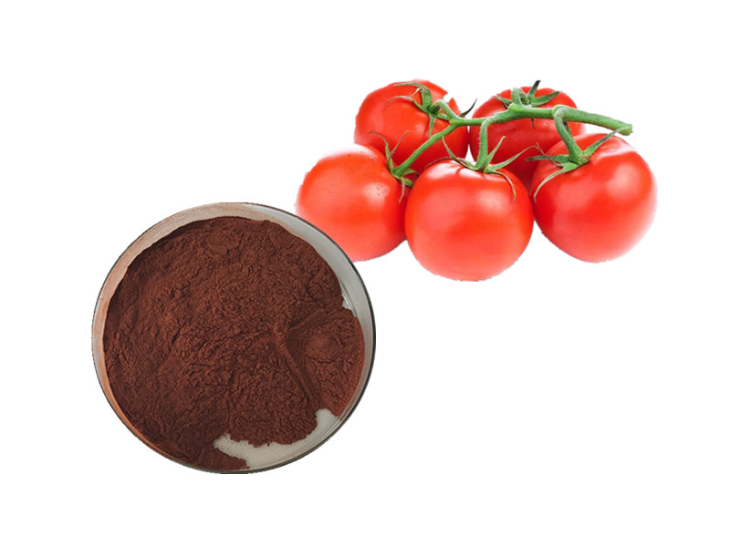 Lycopene: The "Carotenoid Guardian" for Cellular Integrity and Cardiovascular Resilience