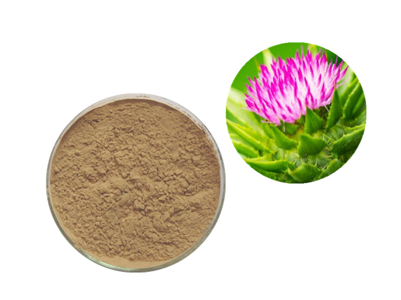 Milk Thistle (Silymarin): The Biogenic Shield for Hepatic Resilience and Detoxification