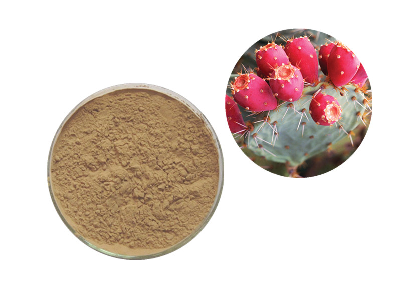 Prickly Pear Fruit Extract: The Metabolic Harmonizer and Cellular Hydrator