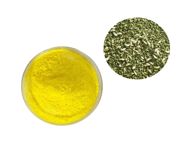 Quercetin: The Flavonoid Sentinel for Immune Modulation and Cellular Longevity