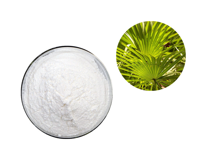 Saw Palmetto: The "Liposterolic Modulator" for Prostatic Integrity and Hormonal Homeostasis