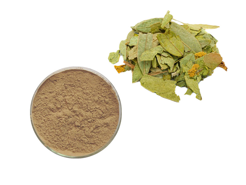 Senna Leaf Extract: The Anthraquinone Catalyst for Colonic Peristalsis and Detoxification