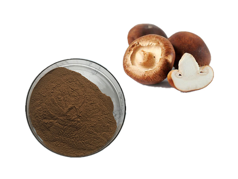Shiitake Mushroom (Lentinula edodes): The Lentinan Catalyst for Innate Vigor and Lymphocyte Precisio