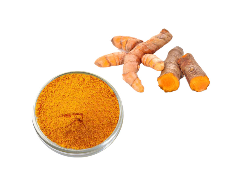 Turmeric Extract: The Molecular Rheostat for Inflammatory Homeostasis and Adaptive Immunity