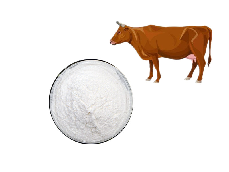 Bovine Collagen Peptides: The Bioavailable Scaffold for Systemic Structural Integrity