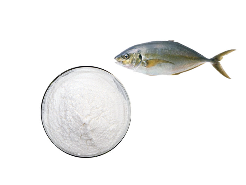 Marine Collagen Peptides: The Premium Bio-Engineered Solution for Cellular Rejuvenation