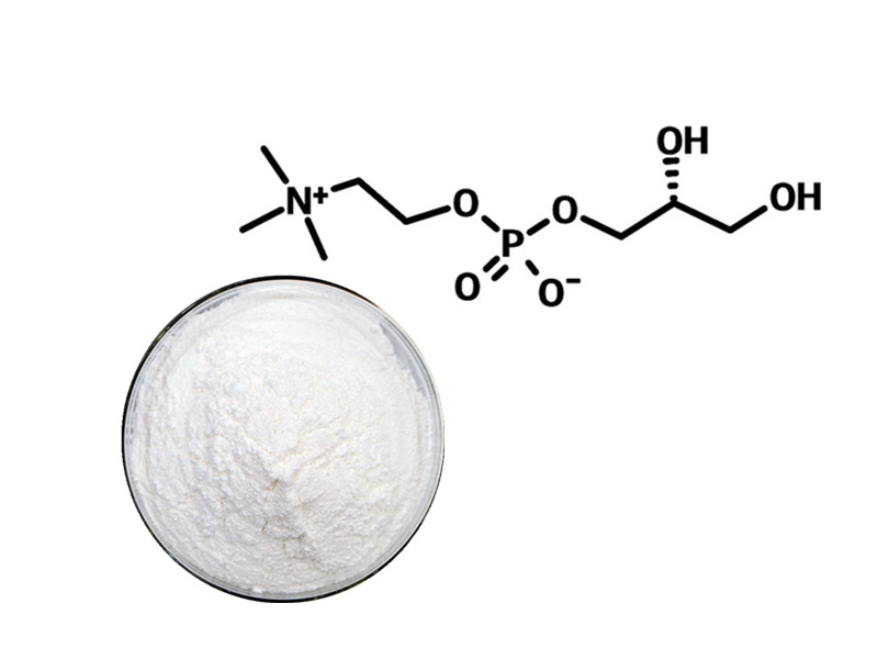 Alpha-GPC: The High-Potency Choline Donor for Neuro-Signaling and Cognitive Power