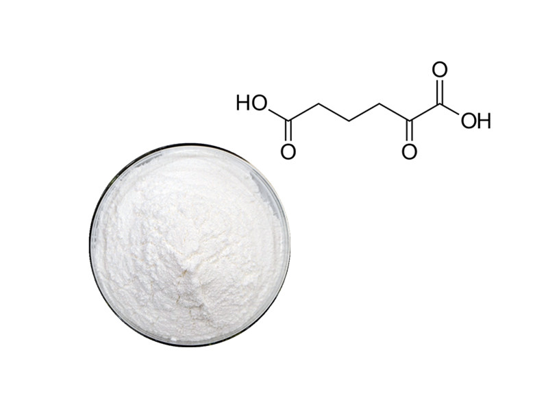 Alpha-Ketoglutarate: The Metabolic Bridge for Peak Performance and Muscle Recovery