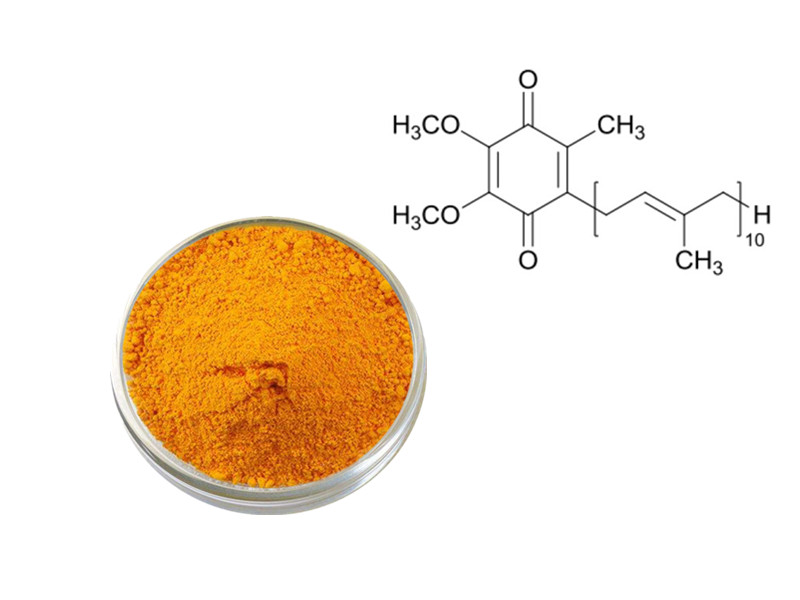 Coenzyme Q10: The Essential Bioenergetic Catalyst for Mitochondrial Vitality and Systemic Longevity