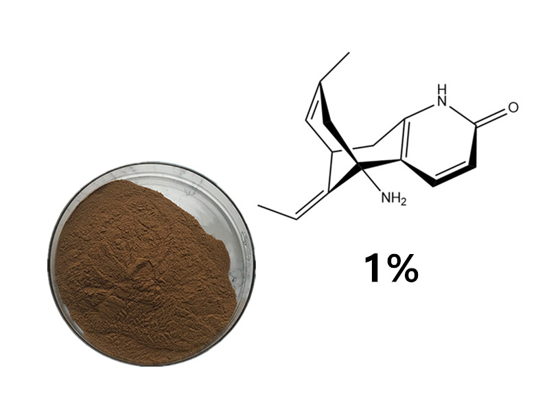 Huperzine A: The Natural Acetylcholinesterase Inhibitor for Cognitive Longevity and Synaptic Clarity