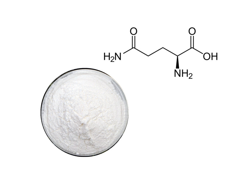 L-Glutamine: The Fundamental Amino Acid for Mucosal Integrity and Metabolic Recovery