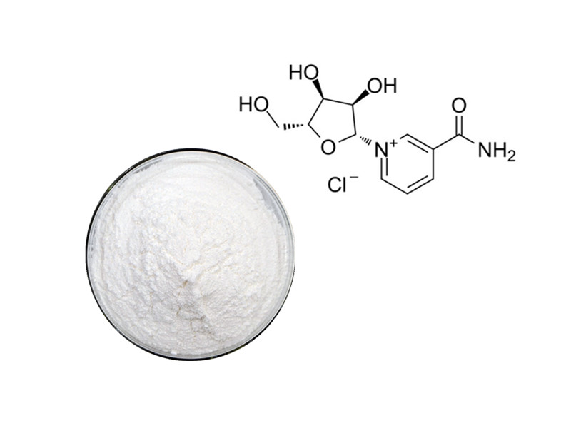 NR: The High-Efficiency Precursor for NAD+ Expansion and Cellular Rejuvenation