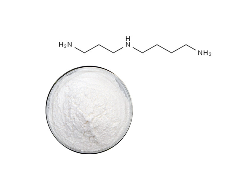 Spermidine: The Polyamine Catalyst for Systemic Autophagy and Cellular Longevity