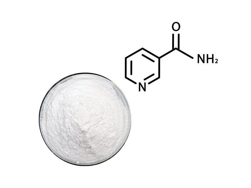 Vitamin B3: The NAD+ Precursor for Cellular Longevity and DNA Repair