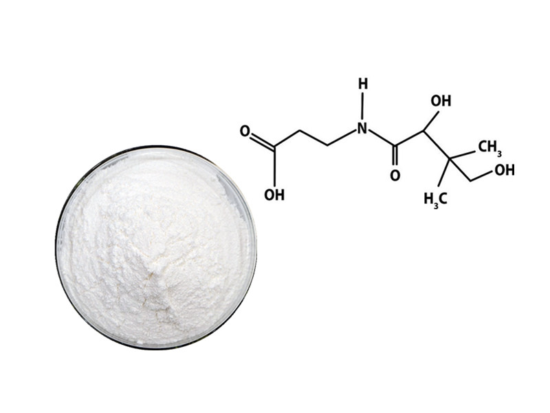Vitamin B5: The Metabolic Architect of Cellular Resilience and Hormonal Balance