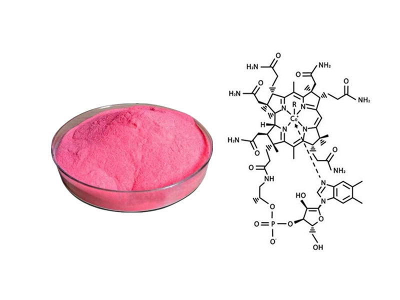 Vitamin B12: The Master Methylator and Guardian of Neurological Integrity