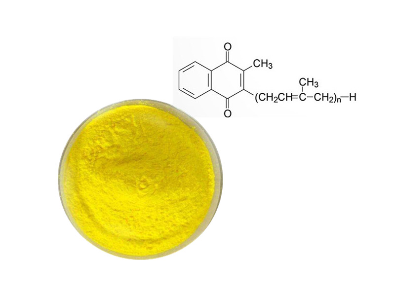 Vitamin K2: The Molecular Traffic Controller for Skeletal and Cardiovascular Health