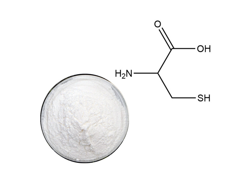 L-Cysteine: The Thiol-Donor for Master Antioxidant Synthesis and cellular Detoxification