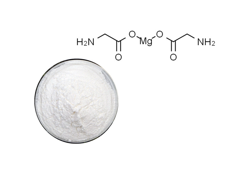 Magnesium Bisglycinate: The High-Bioavailability Master Regulator for Neurological and Muscular