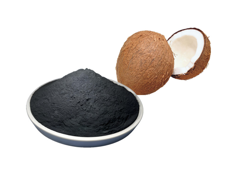 Activated Charcoal: The Molecular Trap for Acute Sequestration and Gastrointestinal Detoxification