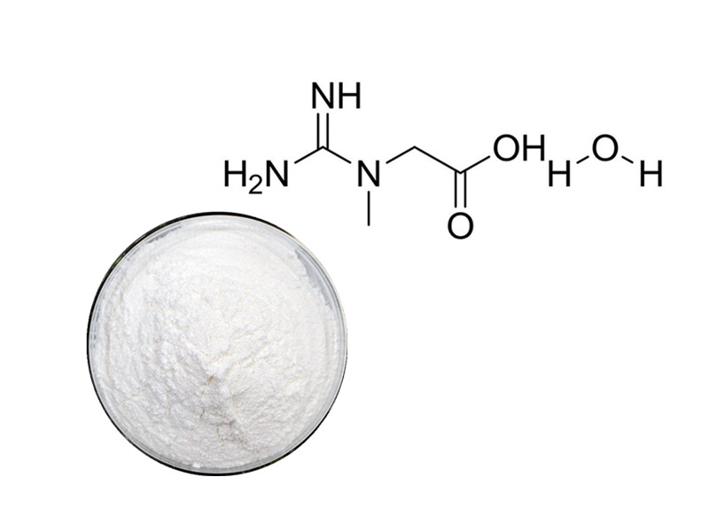 Creatine Monohydrate: The Ergogenic Gold Standard for Phosphagenic Power and Muscular Hypertrophy