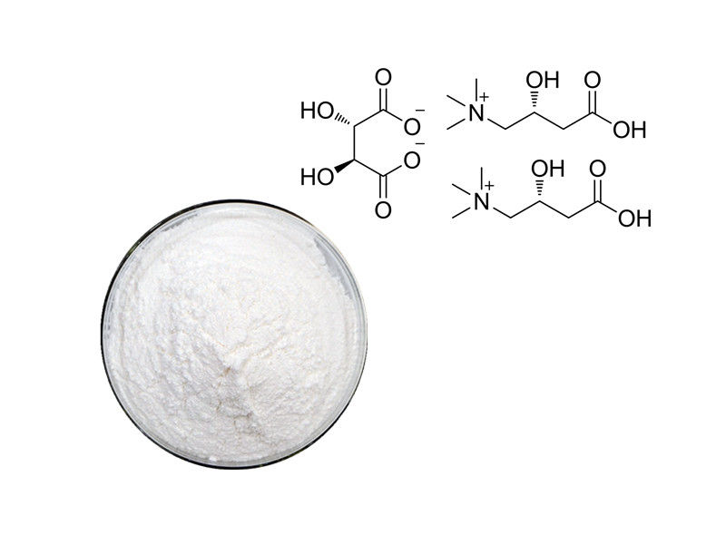 L-Carnitine L-Tartrate: The Metabolic Shuttle for Lipid Oxidation and Muscle Recovery