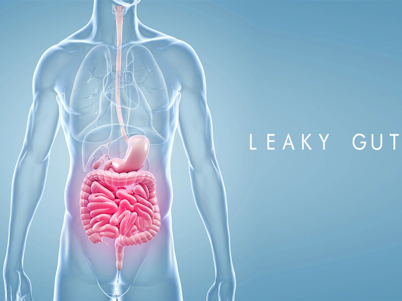 Senna vs. Prunus Japonica: Stimulant Irritation vs. Bulk Lubrication in Colon Cleansing