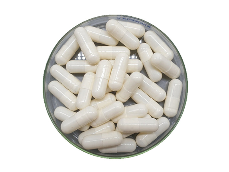 The Evolution of Oral Dosage: HPMC Vegetable Capsules and Their Industrial Advantages