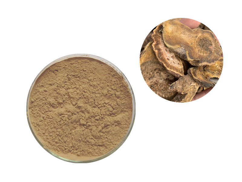 Siberian Rhubarb (Rheum rhaponticum): A Clinical Breakthrough in Menopausal Wellness