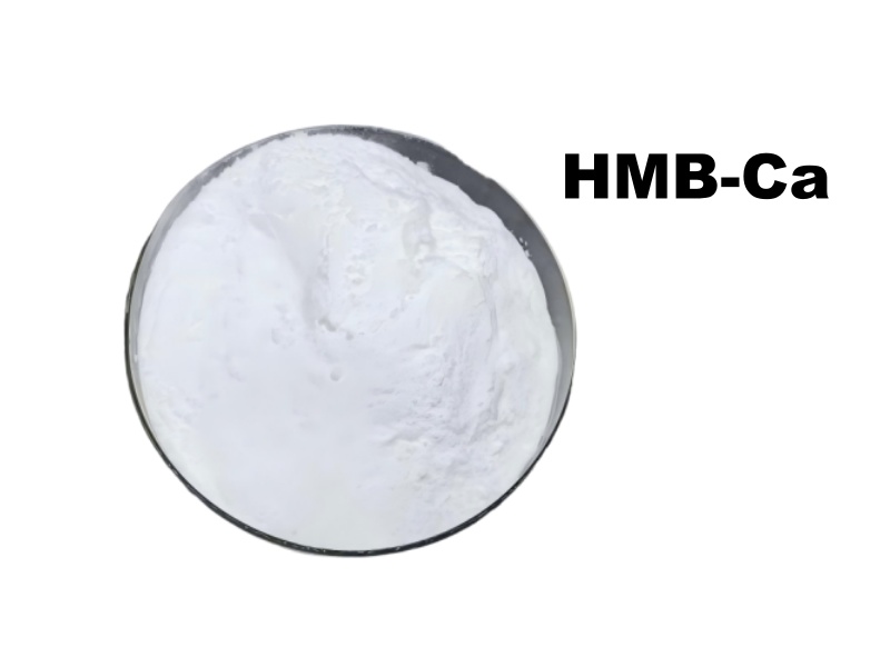 HMB for Muscle Growth: The Ultimate Scientific Guide to Benefits, Mechanism, and Dosag