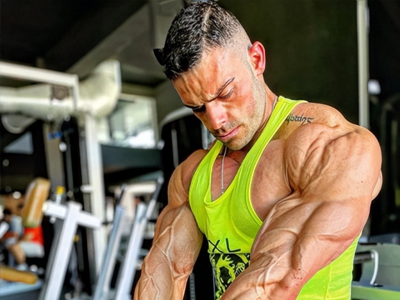 L-Theanine vs. Alpha-GPC: Which Focus Enhancer Elevates Your Training Session?