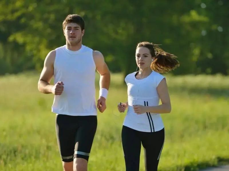 PHGG vs. Psyllium Husk: Which Fiber is Best for Sensitive Stomachs?