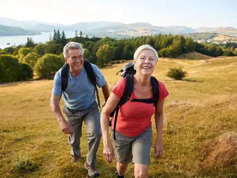 Uva Ursi for Urinary Health: Ancient Benefits and Modern Safety Precautions