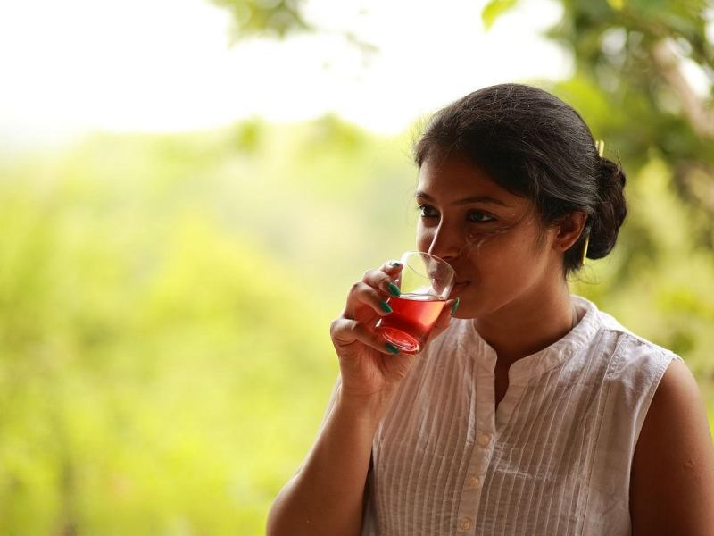 Beyond UTIs: Why Cranberry and Uva Ursi are the Ultimate Kidney Cleanse Duo
