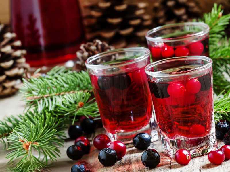 The Sovereign Purifier: What is Uva Ursi and How Does it Cleanse the Kidneys and Urinary Tract?