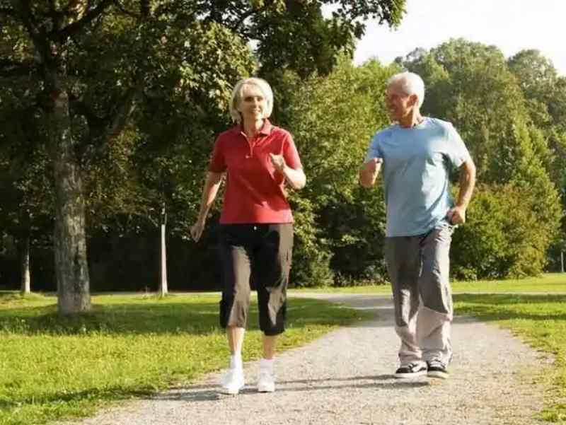 PQQ vs. CoQ10: What Is the Difference and Do You Need Both?