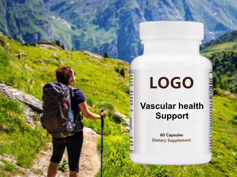 The Vascular Integrity Blueprint: Top Formulation Trends for Vascular Health Support in US Market