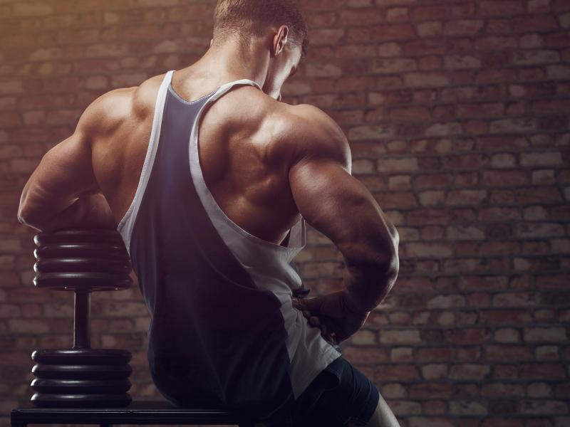 L-Arginine vs. L-Citrulline: Choosing the Right Nitric Oxide Precursor for Your Custom Formula