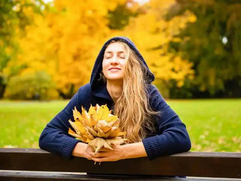 St. John’s Wort Extract vs. Lemon Balm: Crafting a Traditional Botanical Formula for Anxiety Support