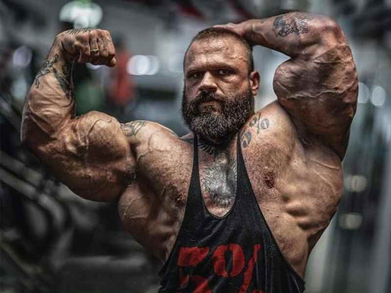Ecdysterone vs. Laxogenin: Sourcing Generic Plant-Based Steroids for Custom Muscle Growth Capsules