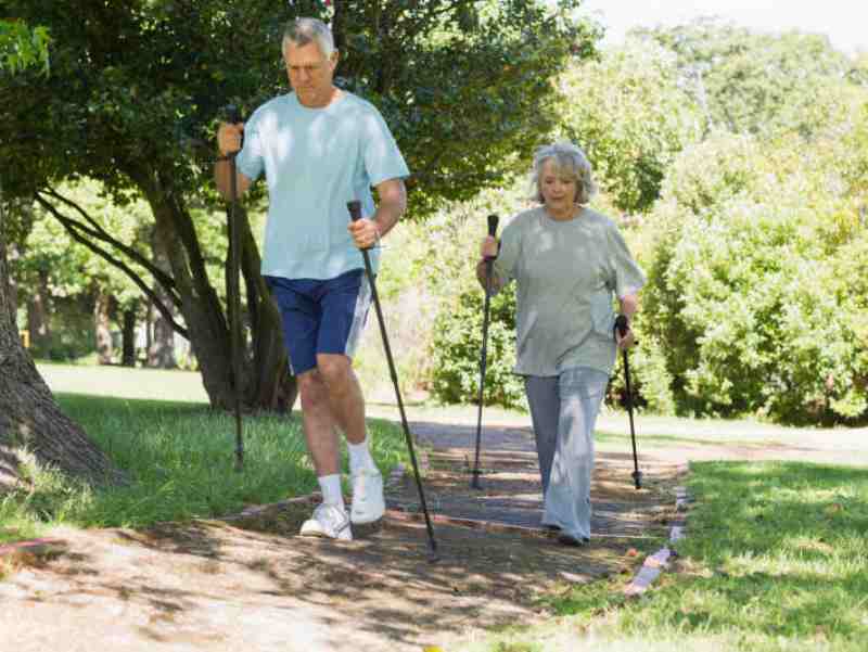 Sourcing Standardized Skullcap Extract for Custom Nerve Calming and Neuropathy Supplements
