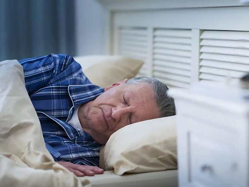 Bulk Magnolia Bark Extract (Honokiol & Magnolol): Designing Nighttime Brain Repair capsules