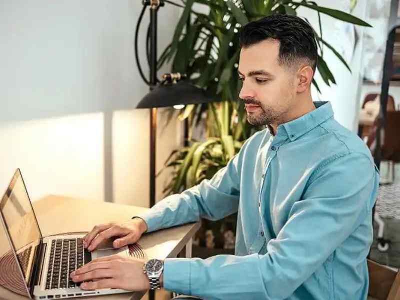 Sourcing Premium Schisandra Chinensis Extract for Cortisol Control and Cognitive Endurance
