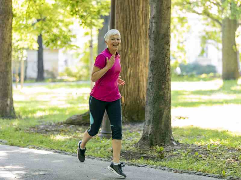 Boswellia Serrata (AKBA) Long-Term Tolerability: Toxicological Thresholds for Liver Enzymes
