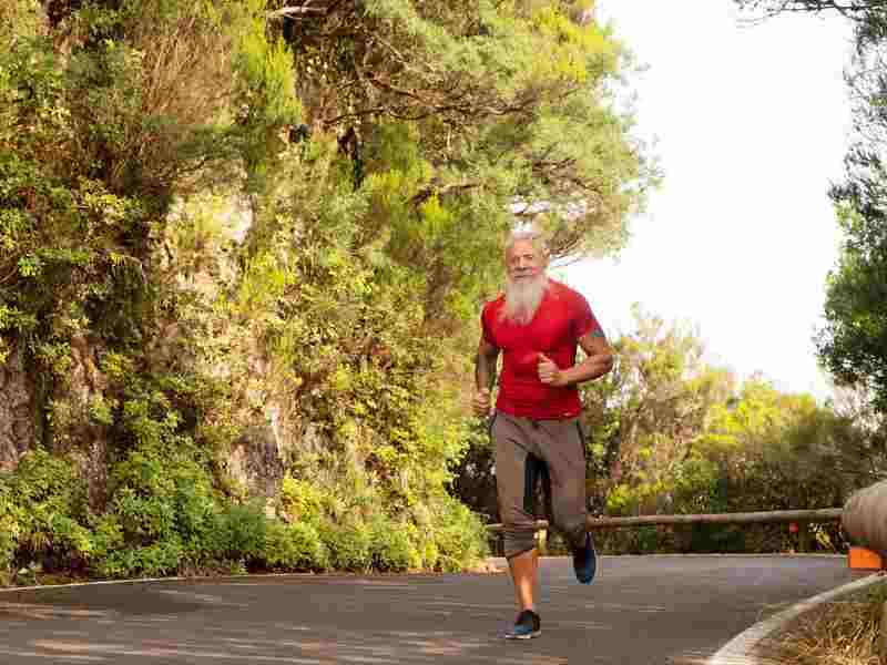 Long-Term High-Dose Berberine Warning: Microbiome & Liver Windows